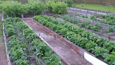 农场宅基地，有花园床，种植洋葱、草莓和浆果灌木。